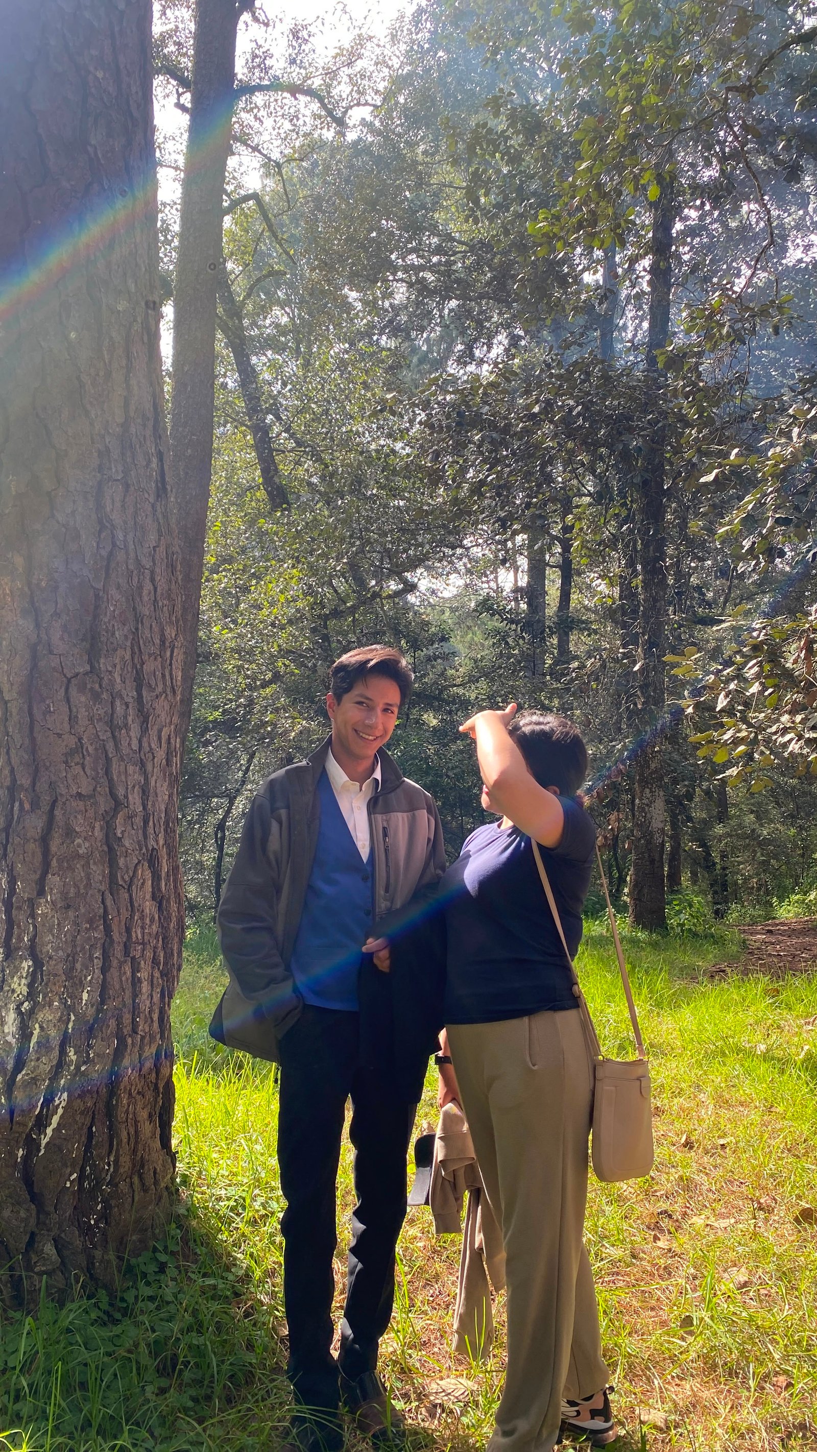 Bosque